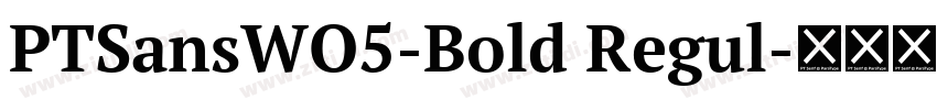 PTSansWO5-Bold Regul字体转换